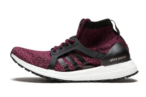 Ultraboost X All Terrain Wmns