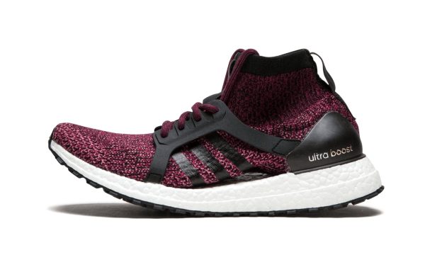 Ultraboost X All Terrain Wmns