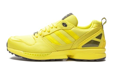 Zx 5000 Torsion