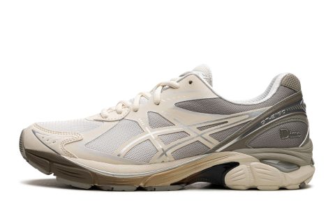 Asics Gt-2160 "dime Arctic Wolf"