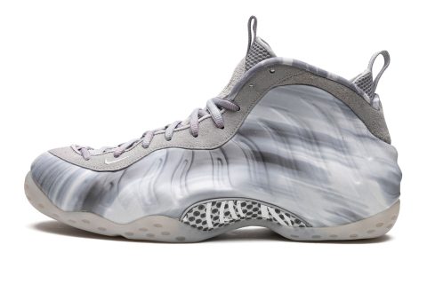 Nike Air Foamposite One "dream A World - Grey"