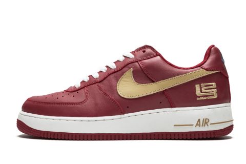 Nike Air Force 1 "lebron"