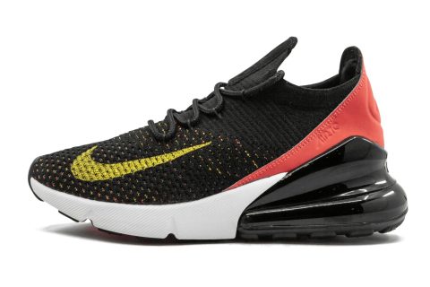 Air Max 270 Flyknit Wmns