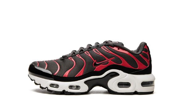 Nike Air Max Plus Gs Medium Ash / Black / Siren Red