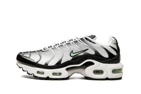 Nike Air Max Plus Gs White / Fresh Mint-black