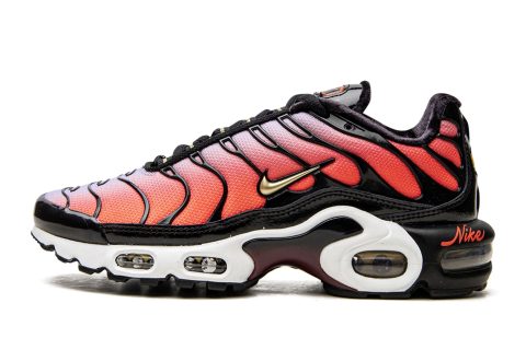 Nike Air Max Plus Mns Wmns "sisterhood"