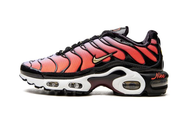 Nike Air Max Plus Mns Wmns "sisterhood"