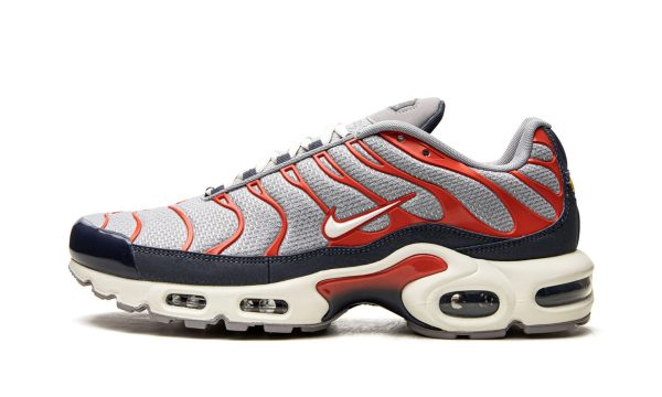 Nike Air Max Plus "usa Grey"