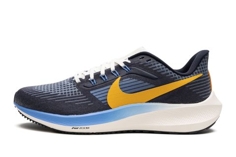 Nike Air Zoom Pegasus 39