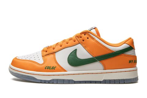 Nike Dunk Low "florida A&m"