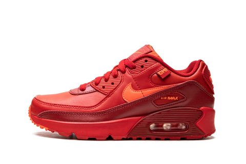 Nike Kids Air Max 90 Gs "city Special Chicago"