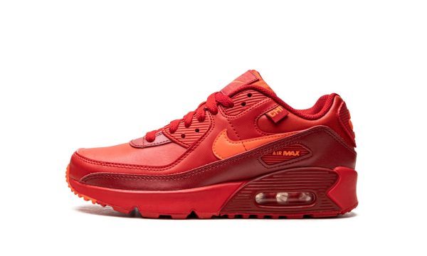 Nike Kids Air Max 90 Gs "city Special Chicago"