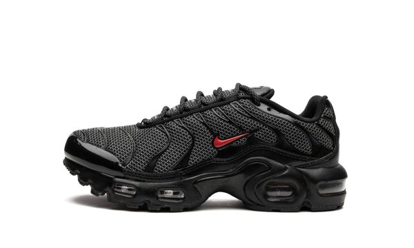 Nike Kids Air Max Plus Gs