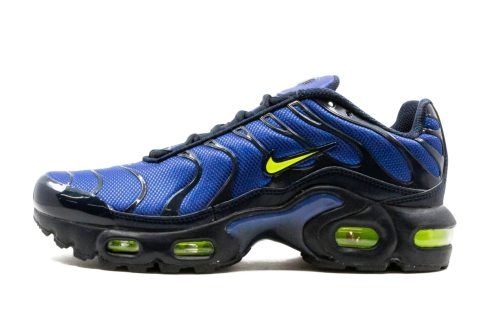 Nike Kids Air Max Plus (gs)