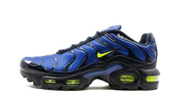 Nike Kids Air Max Plus (gs)