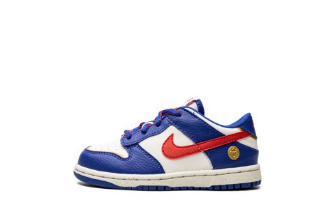 Nike Kids Dunk Low