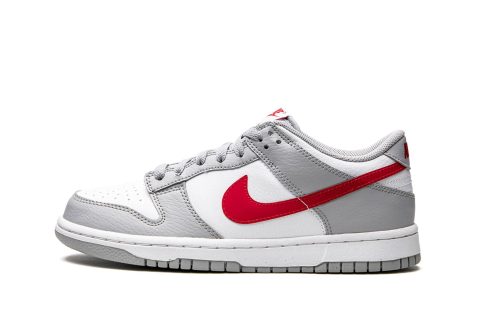 Nike Kids Dunk Low Gs