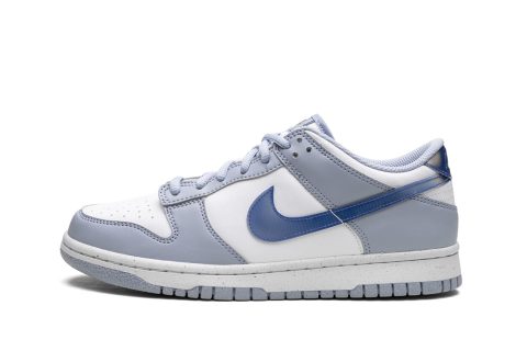 Nike Kids Dunk Low Gs "blue Iridescent"