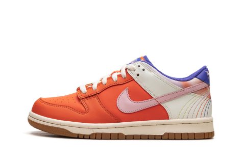 Nike Kids Dunk Low Gs "everything You Need"