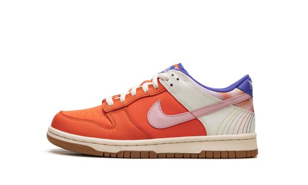 Nike Kids Dunk Low Gs "everything You Need"