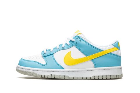 Nike Kids Dunk Low Gs "homer Simpson"