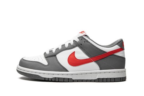 Nike Kids Dunk Low Next Nature Gs "smoke Grey"