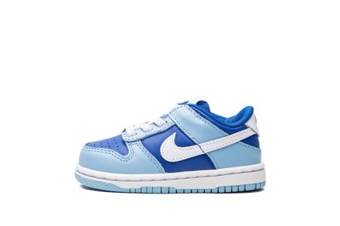 Nike Kids Dunk Low Retro Qs Tde "argon Td"