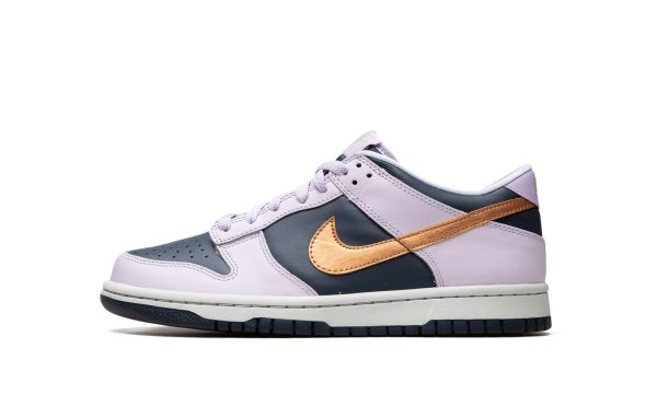 Nike Kids Dunk Low Se "copper Swoosh"