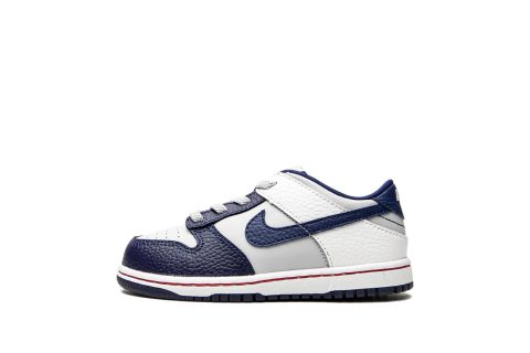 Nike Kids Dunk Low Td "nets"