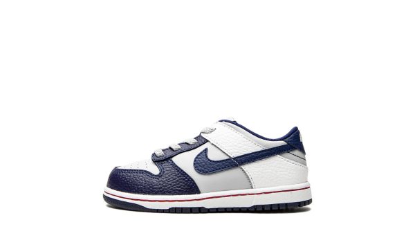 Nike Kids Dunk Low Td "nets"