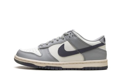 Nike Kids Dunk Low "light Carbon"