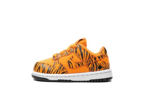 Nike Kids Dunk Low "tiger Stripes"