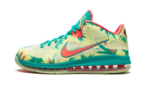 Nike Lebron 9 Low "lebronald Palmer"