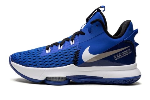 Nike Lebron Witness V