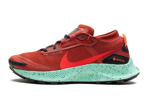 Nike Pegasus Trail 3 Gore-tex "rugged Orange"