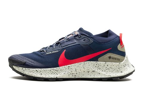 Nike Pegasus Trail 3 Gtx "gore-tex"