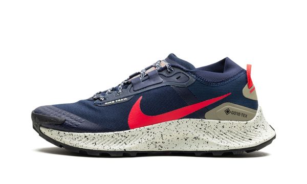 Nike Pegasus Trail 3 Gtx "gore-tex"