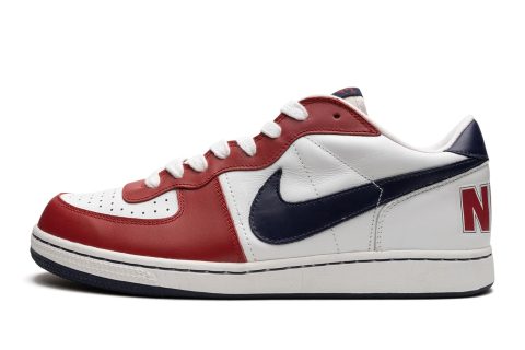 Nike Terminator Low "olympics"