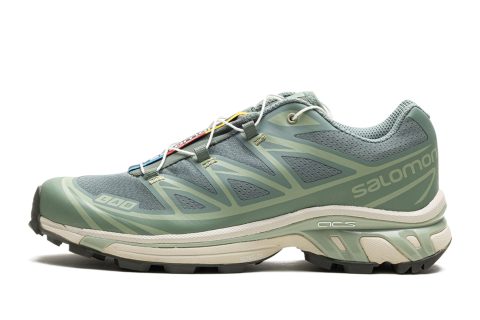 Salomon Xt-6 "laurel Wreath"