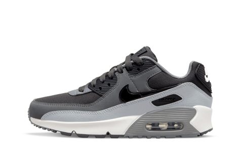 Air Max 90 "grey"