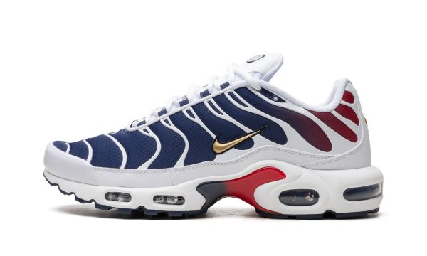 Air Max Plus "psg"