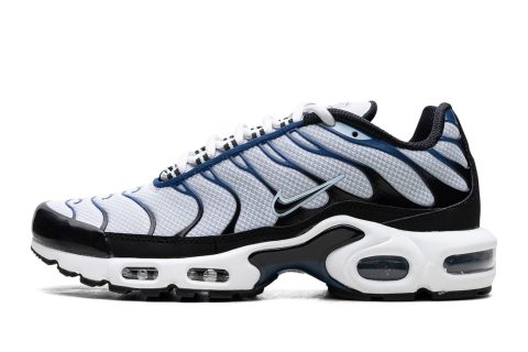 Air Max Plus "pure Platinum/black"